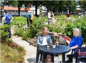 Buurttuin Nieuwe Werf Ecosol